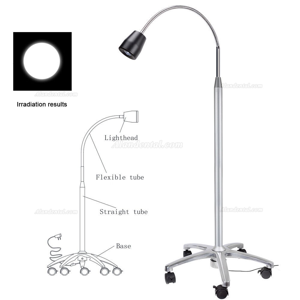 Micare JD1100 High brightness portable dental led examination light